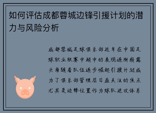 如何评估成都蓉城边锋引援计划的潜力与风险分析