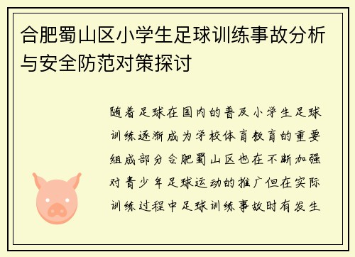 合肥蜀山区小学生足球训练事故分析与安全防范对策探讨