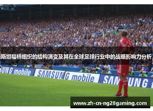 斯坦福桥组织的结构演变及其在全球足球行业中的战略影响力分析 斯坦福桥组织的结构演变及其在全球足球行业中的战略影响力分析