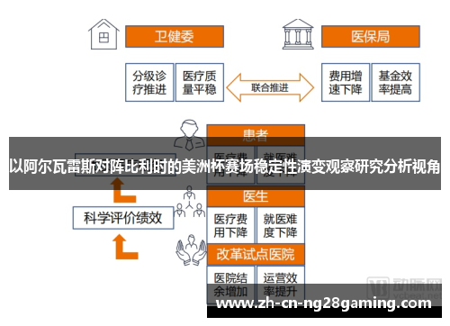 以阿尔瓦雷斯对阵比利时的美洲杯赛场稳定性演变观察研究分析视角 以阿尔瓦雷斯对阵比利时的美洲杯赛场稳定性演变观察研究分析视角