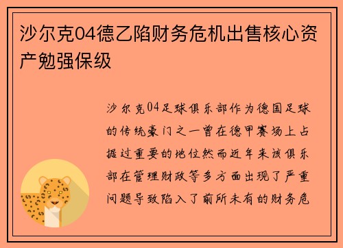 沙尔克04德乙陷财务危机出售核心资产勉强保级 沙尔克04德乙陷财务危机出售核心资产勉强保级